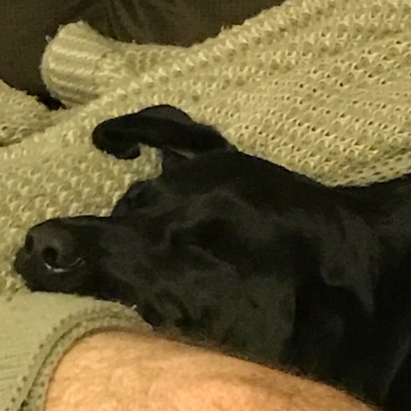 Profile Picture of Monica Trimble (@mtrimble1) on Poshmark