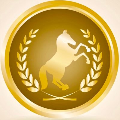 Profile Picture of The Flying Horses (@TheFlyingHorses) on Twitter