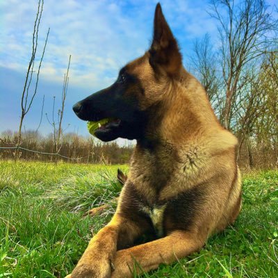 Popa Iulian - Twitter Profile Picture of Popa Iulian (@PopaIulian27) on Twitter