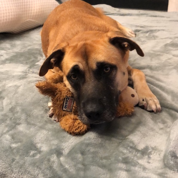 Profile Picture of Chelsea Hagmann (@chagmann) on Poshmark