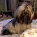 Profile Picture of Rhonda Stumbaugh (@rstumbaugh) on Pinterest
