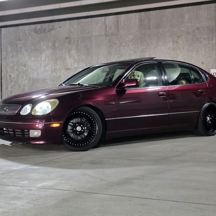 Brad Bolling - Tiktok Profile Picture of Brad Bolling (@@bradbolling) on Tiktok