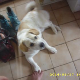 Profile Picture of Bille Bär (@sibillerummer) on Pinterest