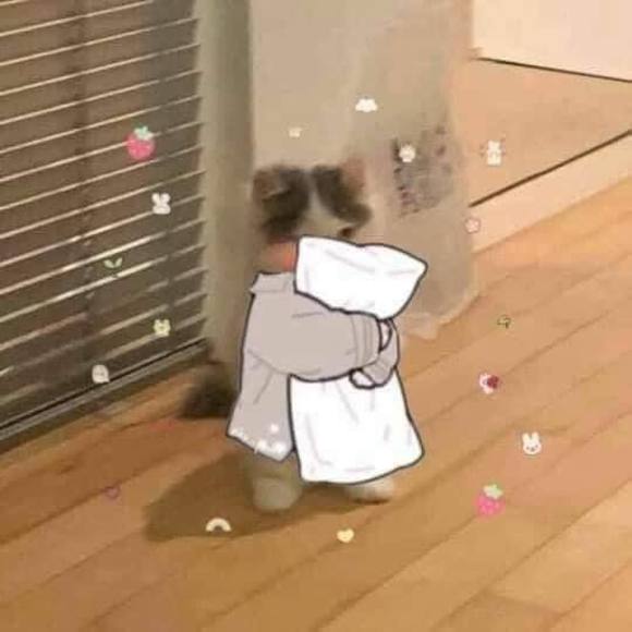 Profile Picture of Adrian Armenta (@alicexd3) on Poshmark