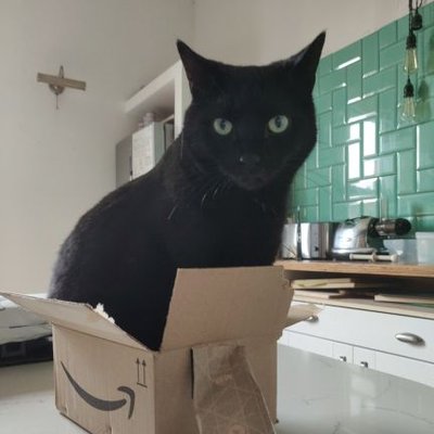 Profile Picture of Mike Mulgrew (@MikeMulgrews) on Twitter