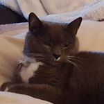 Profile Picture of Ron Kemptin (@ron_kempton) on Instagram