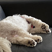 Profile Picture of Talia Thomas (@taliathomas4220) on Youtube