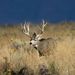 Profile Picture of Darrell Agan (@dagan10425) on Pinterest