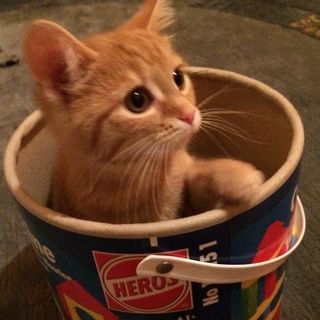 Josie Frank - Instagram Profile Picture of Josie Frank (@josief_2408) on Instagram