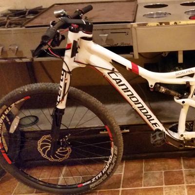 Profile Picture of Samuel Guido (@SamGuido72) on Twitter