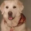 Profile Picture of phyllisschulte629 (@@phyllisschulte629) on Tiktok