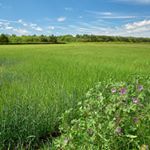 Profile Picture of Scott Elkins (@scott.elkins.70) on Instagram