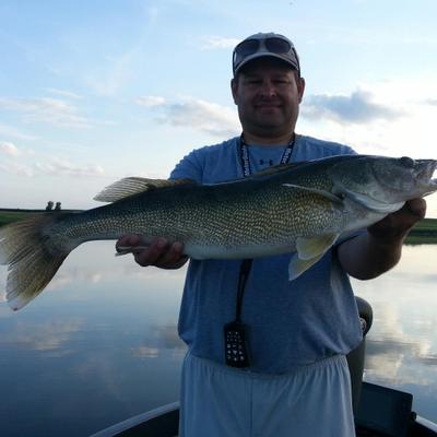 Profile Picture of Kevin Rook (@kevinrook0) on Twitter