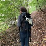 Profile Picture of Benjamin Postal (@benjamin.postal) on Instagram