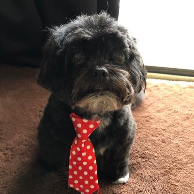 Profile Picture of Lisa Keough (@lisakeoughh) on Twitter