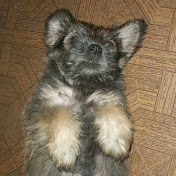 Profile Picture of David Cobo (@davidcobo2138) on Youtube