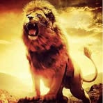 Profile Picture of Calvin Nicole (@calvin.nicole.1) on Facebook