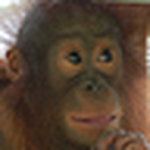 Profile Picture of Mike Ward (@mike ward) on Flickr