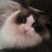 Profile Picture of Lena Engler (@lena.engler.353) on Facebook
