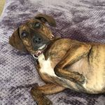 Profile Picture of Brad Stansberry (@basvfl83) on Instagram