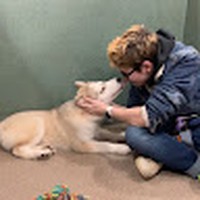 Profile Picture of Brett Steines (@brett-steines-1) on Quora