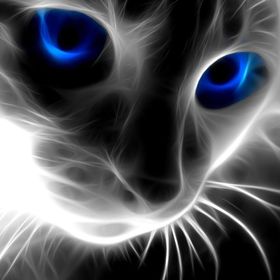 Profile Picture of Kevin Heckman (@kphj25ilG) on Pinterest
