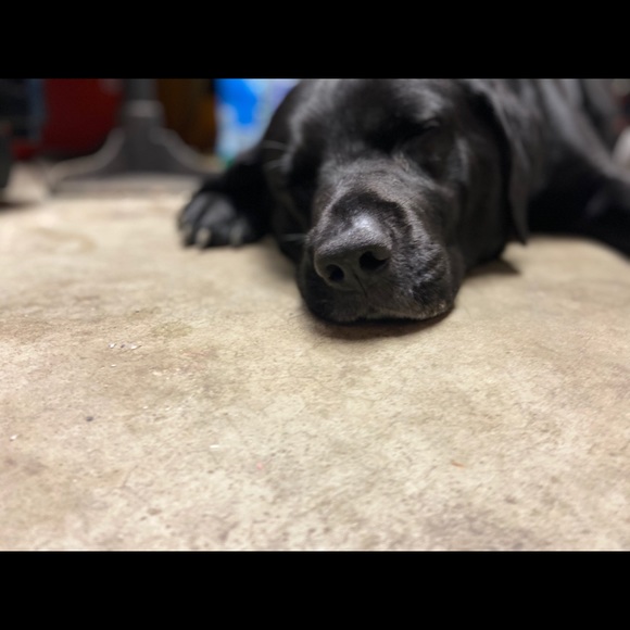 Profile Picture of David Schimmel (@dschimmel01) on Poshmark