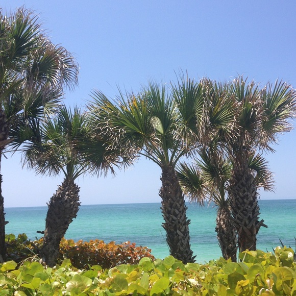 Profile Picture of L Y (@lhy) on Poshmark