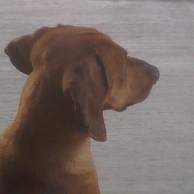 Profile Picture of Amanda Partida (@moshurs) on Twitter