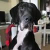 Profile Picture of   Kimberly Bailey... (@rambothedane) on Tiktok