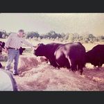 Profile Picture of Jonathan Crider (@j_crider803) on Instagram