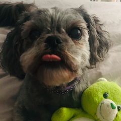 Profile Picture of Jenna Bilby (@jennabilby) on Tiktok