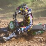 Profile Picture of Paulo Stedile (@paulostedile) on Instagram