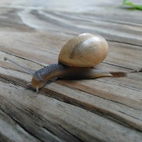 Profile Picture of Vianca Martinez (@vianca-martinez-3) on Quora