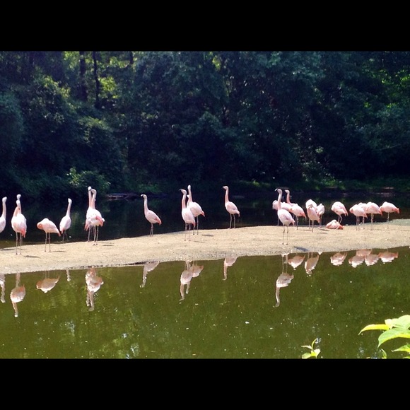 Profile Picture of Elisabeth Perry (@lizp227) on Poshmark