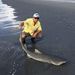 Profile Picture of Chase Gibson (@cgibson3402) on Pinterest