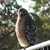 Profile Picture of Dawna Meyer (@dawna.meyer.35) on Facebook