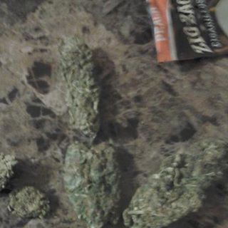 Profile Picture of Matthew Alaniz (@Matthew-Alaniz) on Facebook