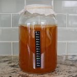 Profile Picture of Jacob Mendenhall (@jacobs_kombucha) on Instagram