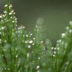 Profile Picture of Matthew (@trom1927._8817) on Instagram