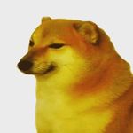 Profile Picture of Bautista gonzalez (@baumac_) on Instagram