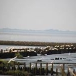 Profile Picture of Peter Wiechmann (@peter.wiechmann) on Instagram