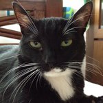 Tammi Clark - Instagram Profile Picture of Tammi Clark (@ok_tc) on Instagram