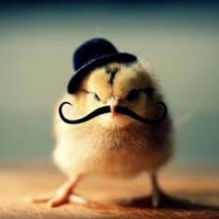 Profile Picture of Raymond Real (@raymond-real-1) on Quora