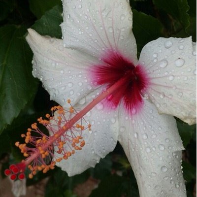 Deborah Beveridge - Twitter Profile Picture of Deborah Beveridge (@Mrsbee060712) on Twitter