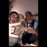 Profile Picture of Cristian Endrizzi (@cristian.endrizzi) on Instagram