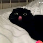 Profile Picture of Daniel Puckett (@@dpuckett7613) on Tiktok