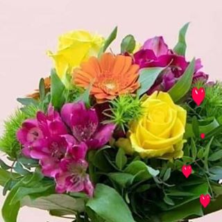 Profile Picture of Rosa Miguel (@Rosa-Miguel) on Facebook