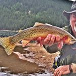 Profile Picture of David Leinweber (@daveleinweb) on Instagram