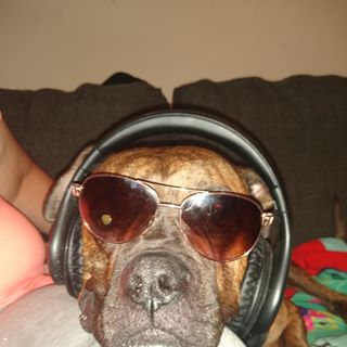 Profile Picture of Joseph Morrison (joe) (@joseph.morrison.5688476) on Facebook